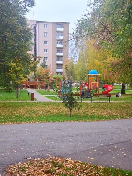 IMG-20241024-WA0002.jpg