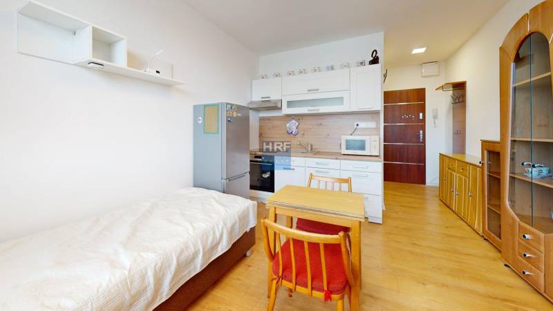 Prenajom-garsonky-na-D-Rapanta-v-Holici-Bedroom.jpg