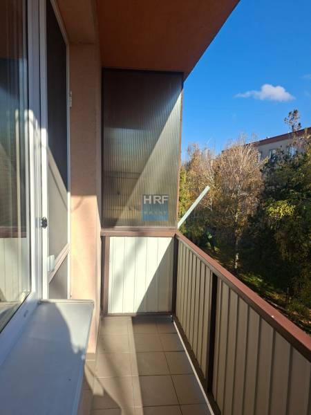 IMG-20251106-WA0002 – kópia.jpg