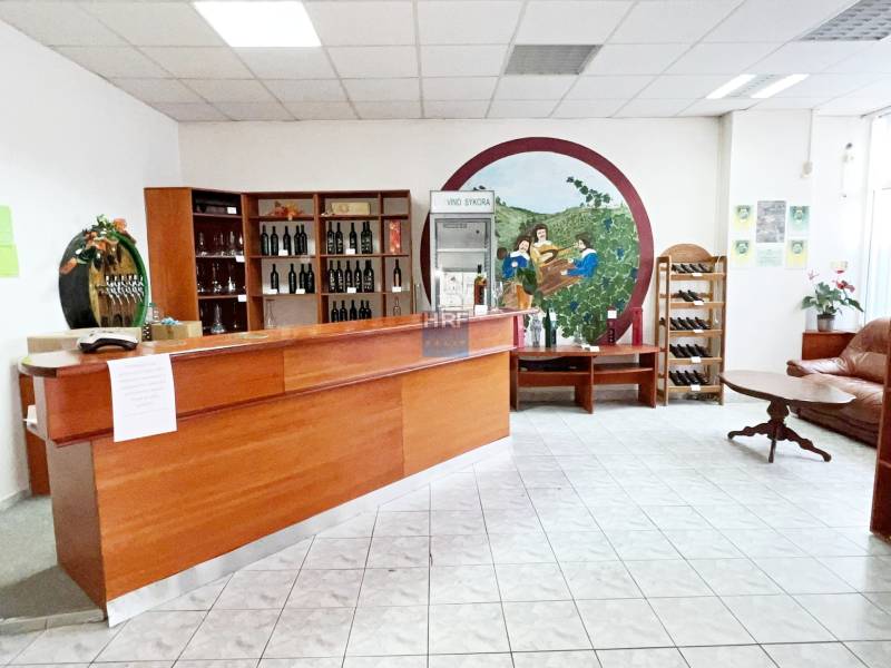 WhatsApp Image 2026-01-16 at 14.28.04 (2).jpeg