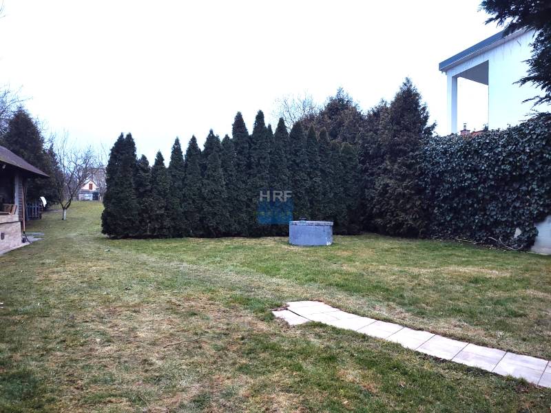 WhatsApp Image 2026-02-05 at 19.37.28 (1).jpeg