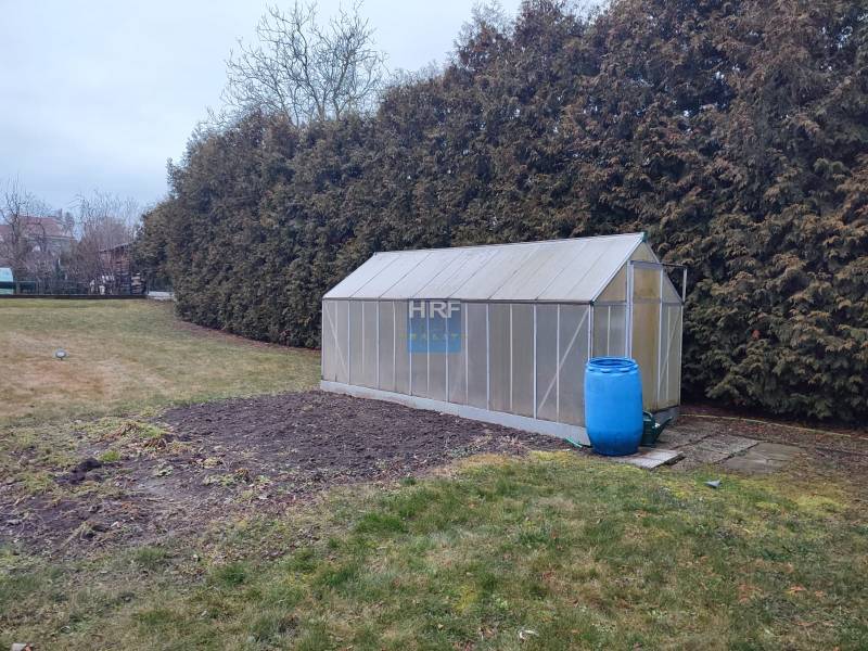 WhatsApp Image 2026-02-05 at 19.37.28 (4).jpeg