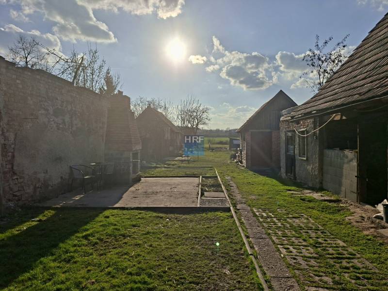 WhatsApp Image 2026-03-16 at 08.47.43.jpeg