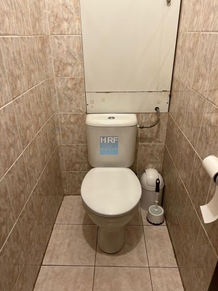 16.jpeg